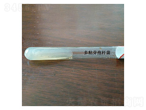 ��ճѿ�ߗU��--б��ԇ��ԭ�N-�Ű�����