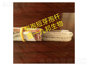 ����ѿ�ߗU��-б��ԇ�ܾ�-�Ű�����