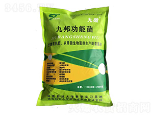 ����ʏ�(f��)�Ϲ��ܾ�-��΢-�Ű�����