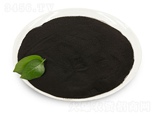 ��ֲ��ԭ��-���B��