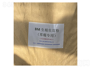 BM�������������ݮ��(zhu��n)�ã�-�Ű�����