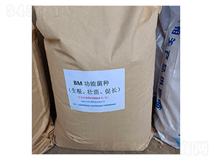 BM����ʹ��ܾ�������������L(zh��ng)��-�Ű�����