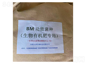 ���ܾ�����ʌ�(zhu��n)��-�Ű�����