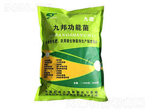 �Ű�ܾ�-��΢-�Ű�����