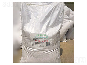 �ݲ�ѿ�ߗU��-�Ű�����