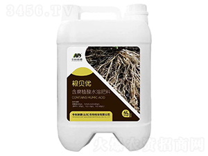 ��ؐ��(y��u)����ֲ��ˮ�ܷ���-�п��Z��