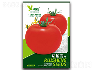 ������F1-���ѷN��-����