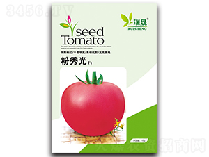 �����F1-���ѷN��-����