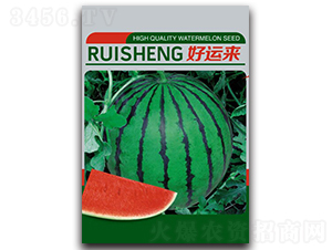 ���\(y��n)��-���ϷN��-����