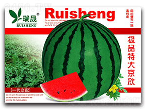 �ش���-���ϷN��-����