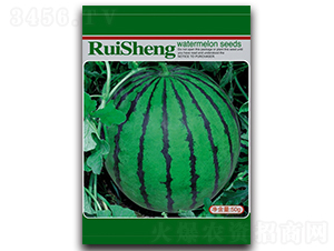 ����668-���ϷN��-����