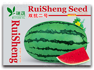 �p����̖-���ϷN��-����