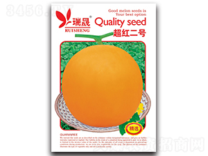 ���t��̖-��ϷN��-����