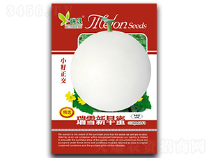 ��ѩ������-��ϷN��-����