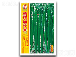 ʒ�м��L603-�����N��-ʒ�зN�I(y��)