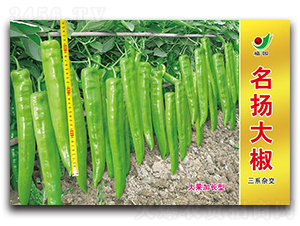 ���P��-�����N��-ʒ�зN�I(y��)