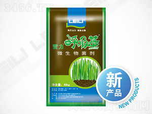 ΢�������-����������-��������