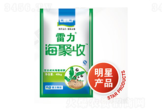 �����(f��)���w����-����������-��������