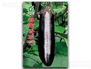 ��������-���ӷN��-�V��