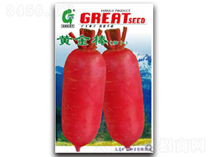 �S���-�}���N��-�V��