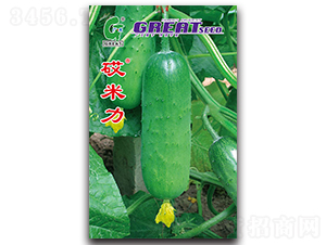 ������-�S�ϷN��-�V��