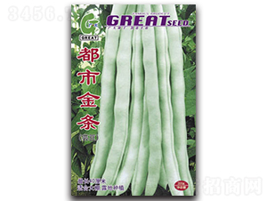 ���н�l-�|���N��-�V��