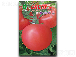 �ی�ʯ-���ѷN��-�V��