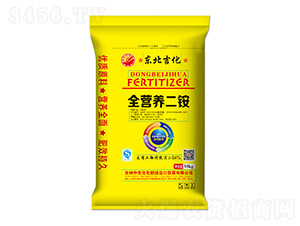 ȫ�I�B(y��ng)���@-�|������-�м�������