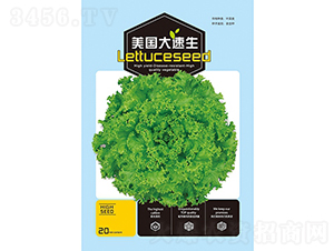 �������������˷N��-��Ʒ�r(n��ng)�I(y��)