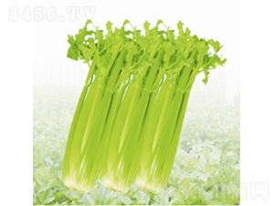 �������-�۲˷N��-��Ʒ�r(n��ng)�I(y��)