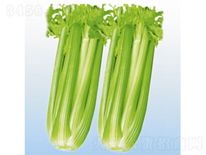 �S�ۼ�����-�۲˷N��-��Ʒ�r(n��ng)�I(y��)