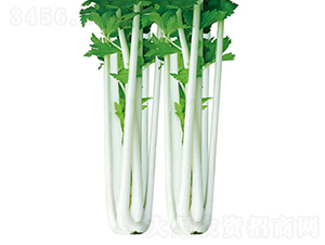 �y��(sh��)��-�۲˷N��-��Ʒ�r(n��ng)�I(y��)