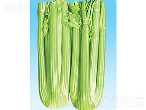 ���m���ʺ�-�۲˷N��-��Ʒ�r(n��ng)�I(y��)