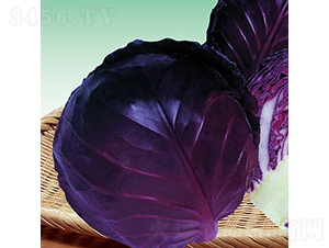 ��Ʒ����-���{(l��n)�N��-��Ʒ�r(n��ng)�I(y��)