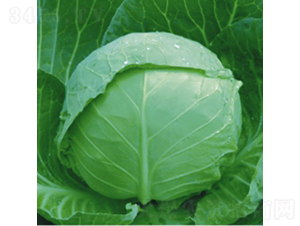 ���Բ���8132-���{(l��n)�N��-��Ʒ�r(n��ng)�I(y��)