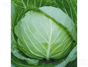 ���Բ����и�11-���{(l��n)�N��-��Ʒ�r(n��ng)�I(y��)