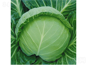 �ڱ���-���{(l��n)�N��-��Ʒ�r(n��ng)�I(y��)