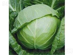 �����c�S-���{(l��n)�N��-��Ʒ�r(n��ng)�I(y��)