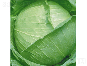 �ձ����S-���{(l��n)�N��-��Ʒ�r(n��ng)�I(y��)