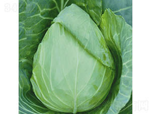 ����(j��)���S-���{(l��n)�N��-��Ʒ�r(n��ng)�I(y��)