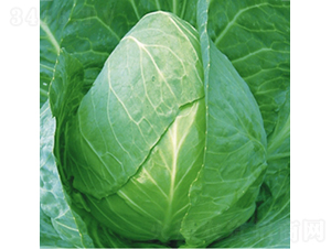 ���S008-���{(l��n)�N��-��Ʒ�r(n��ng)�I(y��)