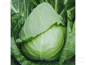 �������S-���{(l��n)�N��-��Ʒ�r(n��ng)�I(y��)