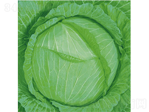 ���顪60-���{(l��n)�N��-��Ʒ�r(n��ng)�I(y��)