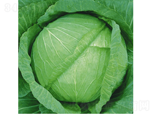 KR-60-���{(l��n)�N��-��Ʒ�r(n��ng)�I(y��)