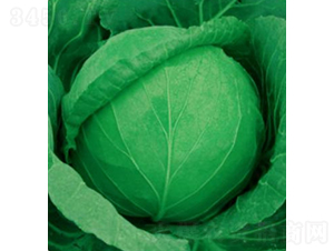 �߿�60-���{(l��n)�N��-��Ʒ�r(n��ng)�I(y��)