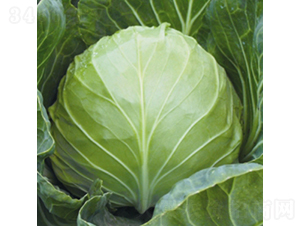 �W�޵䷶-���{(l��n)�N��-��Ʒ�r(n��ng)�I(y��)