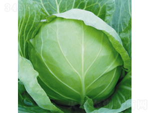 �����F�^-���{(l��n)�N��-��Ʒ�r(n��ng)�I(y��)