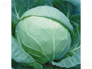 �h(yu��n)�|90-���{(l��n)�N��-��Ʒ�r(n��ng)�I(y��)