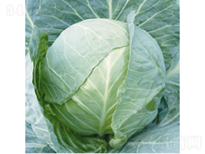 �h(yu��n)�|70-���{(l��n)�N��-��Ʒ�r(n��ng)�I(y��)