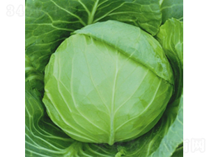 ����25-���{(l��n)�N��-��Ʒ�r(n��ng)�I(y��)